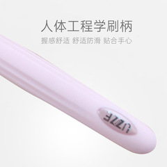 New Petal-Shaped 10,000-Hair Toothbrush with High-End Dual-Sided Paper Card Packaging Soft Hair Toothbrush for Couples, Factory Wholesale