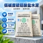 双快快干快速堵漏水泥