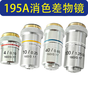 195A�����@΢�R��ɫ�����Rͨ��195��4X 10X 40X 100X