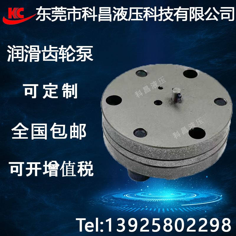 科昌RCB润滑齿轮泵合金钢数控机床电动注油器微型泵头芯胆侵泡式