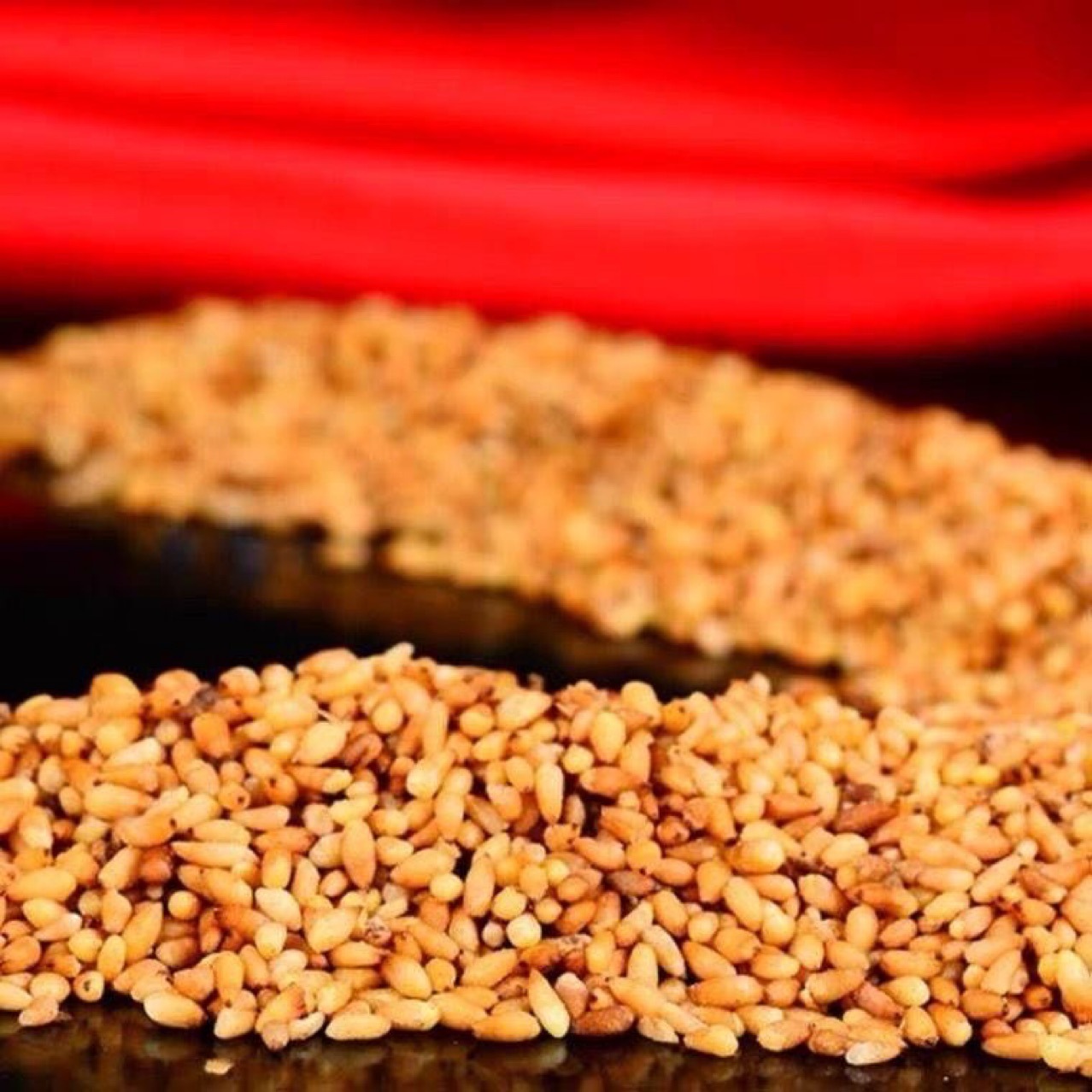 Bai Zi Ren (Platycladus orientalis Seed) — Wild-Harvested Shelled Arborvitae Seeds, Dried Food Herb quality and texture