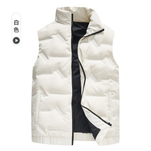 Autumn and winter vest men's collar vest sports leisure down jacket Korean fashion trend plus size vest wholesale