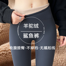 鲨鱼裤女外穿2025新款春秋加绒紧身高腰提臀健身瑜伽裤大码打底裤