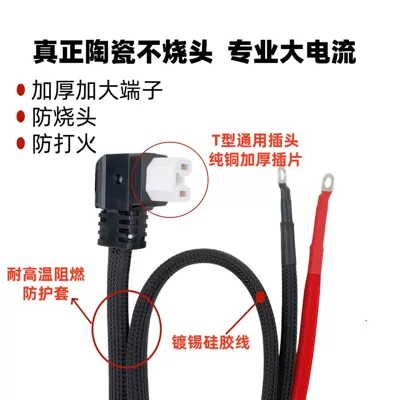 Other Electric Vehicle Accessories | for Delivery Vehicle Battery, Three-Pin Charging