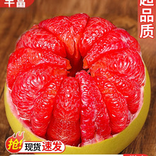 �����t�������������rˮ�������t���������֕r�����gϪ�t��