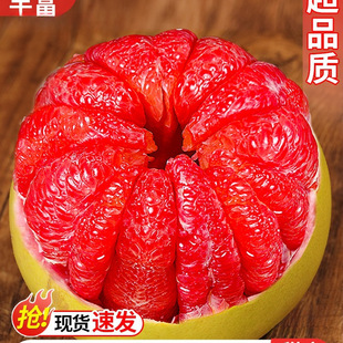 �����t�������������rˮ�������t���������֕r�����gϪ�t��