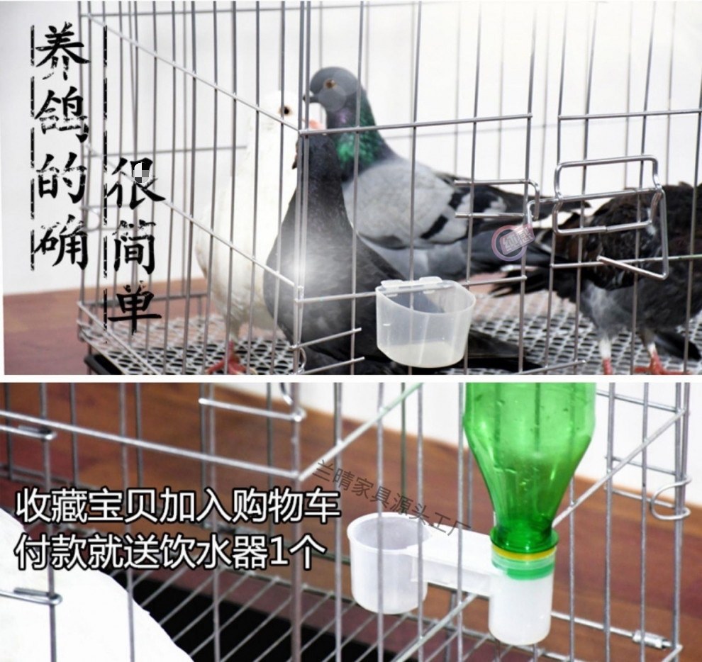 b511401d-99f6-443b-897f-7c77b28ebab8.jpe