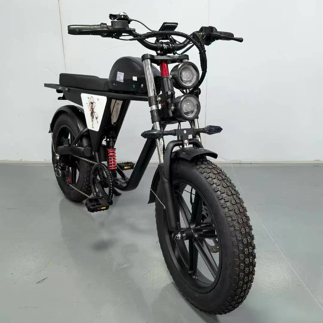 20inch Off-Road Variable Speed Electric Bicycle Adult Electric Vehicle Mountain Motorcycle Battery Vehicle Off-Road Electric Bicycle