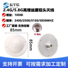 2.4G/5.8G(10DBI)Ģ���^�������쾀·�����W���������Nĸ�^�쾀