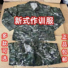 �ʻ�3534����EXP21Z-S��ʽ������ĥ��ѵ����װ�Բʾ�ѵ��ս����