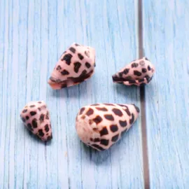 海螺/贝壳;工艺原料;风铃