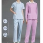 中心分体医生口腔工作服