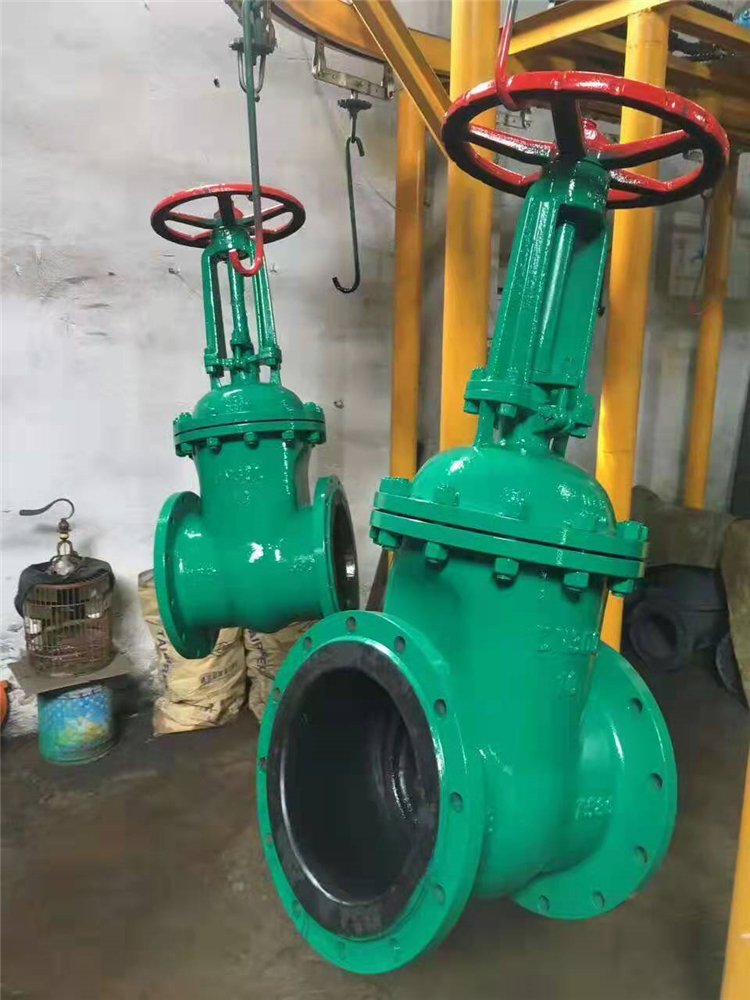 衬胶闸阀Z41J-10C 衬胶闸门 浙江南高阀门DN50 65 100