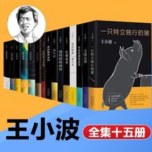 王小波作品15册任选 革命时期的爱情+沉默的大多数+特立独行的猪+