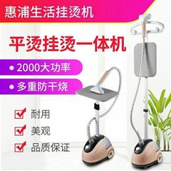 Hui Pu 大型スチーム衣類アイロン機家庭用アイロン衣類小型ハンドヘルドアイロン機吊り下げ垂直電気アイロン本物