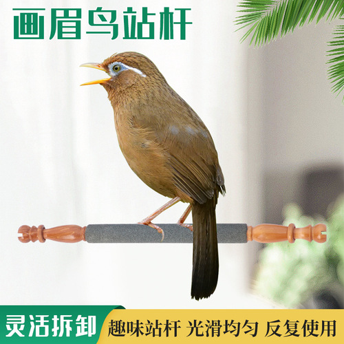 Starling frosted standing pole thrush beak grinding stick claw grinding standing pole frosted rod round cage with perch jumping stick birdcage accessories