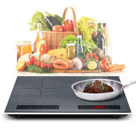 220\110v双头嵌入式电陶炉爆炒电磁炉双灶台式双眼商用灶美标