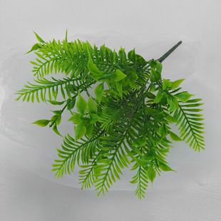 ����ֲ��ާ�c����������řڲ廨ˇ�Gֲ����ˮ�����Բ廨���