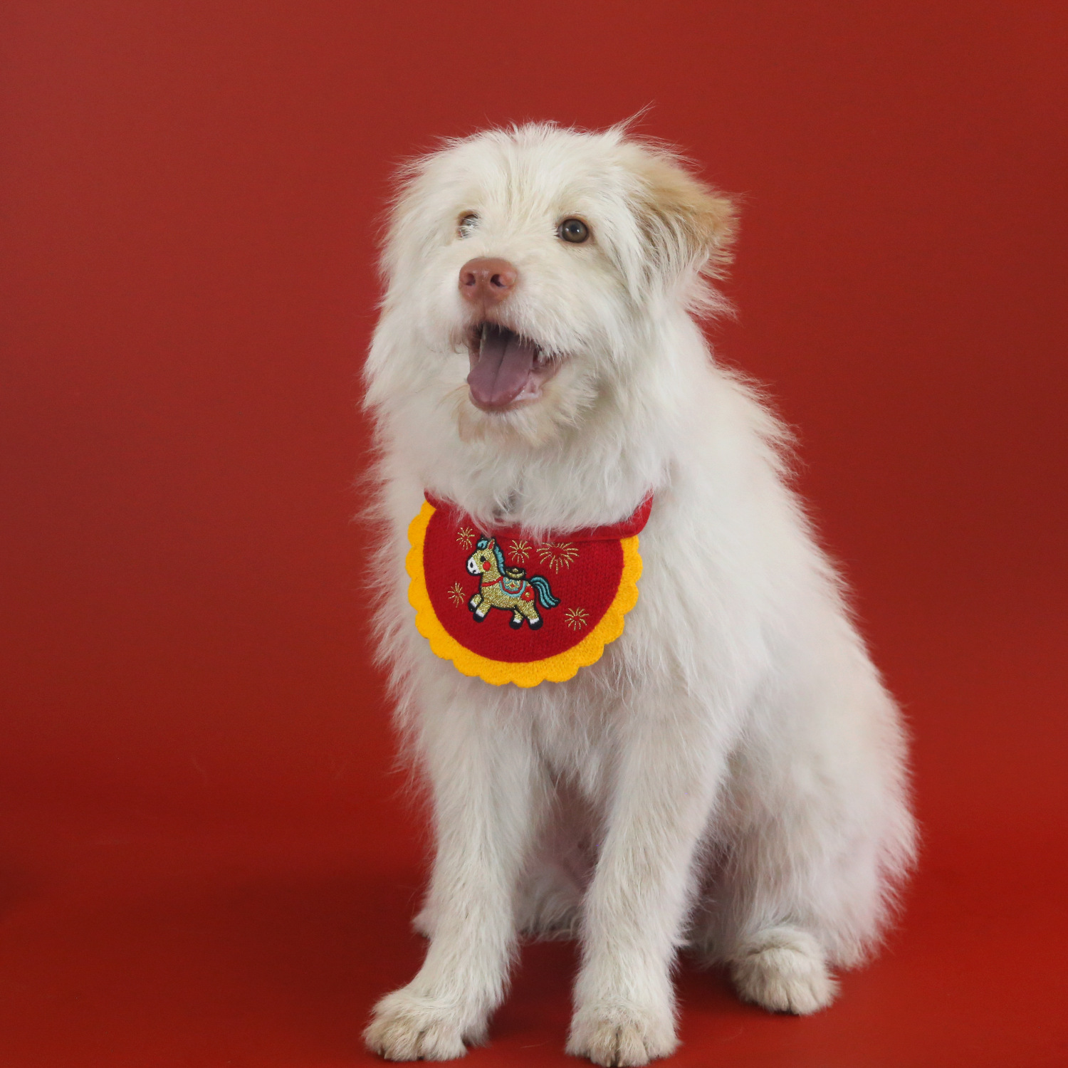 2026 año del caballo mascota bordado yuan Baofu bolsas inmediatamente ricos gatos perros toallas de saliva de Año Nuevo buckles de primavera