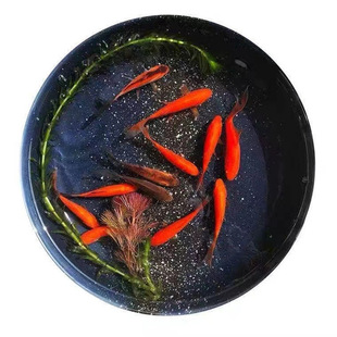 ���~���\��С���~���^�p�~�ͻˮ����~������B���B��ˮ