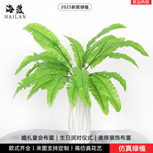 ����Gֲ��˹�~ާ�ֲ����໨���ۘǲ�����ֲ��b����z����