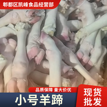 �������l������㎧�����_�㎧���_צ�S��ֱ�N���l������������