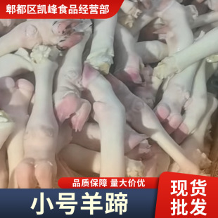 �������l������㎧�����_�㎧���_צ�S��ֱ�N���l������������