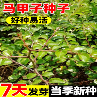 �R���ӷN���R����Ó����N�����F�h���~�X���R���伬�P���B��վ��
