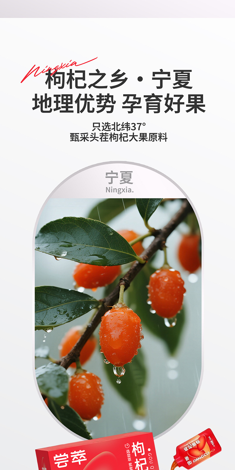 Goji Berry Juice Concentrate Ready to Drink Ningxia Wolfberry Original Liquid 300ml Box quality and texture