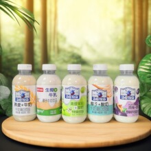 汤臣牧场椰子+酸奶香浓牛奶蛋白饮料450克早餐团建聚餐