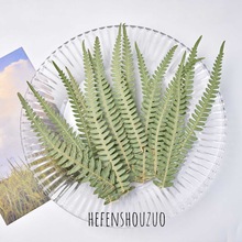 尖角厥叶大尺寸干花树叶相框diy手机壳滴胶压花手工材料装饰绿植