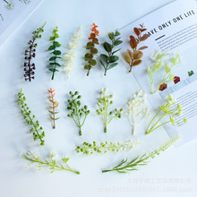 ����Gֲ�����ϻ��Gɫ�ٲ��b廨��݆�֧�~��ϲ�ǺжY���b�