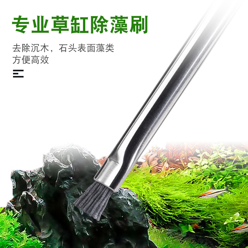 Brush stainless steel, hygienic aquarium 2