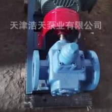 滤油齿轮泵TDXB1 机油 柴油 液压油 稠油 粘油 润滑油 沥青齿轮泵