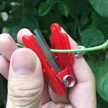 �羳��ժС厵��߲˶����S��Ĵָ������������횴��~�������ֹ�