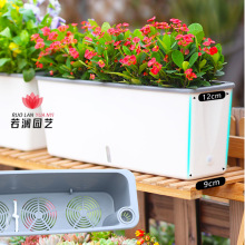 �̨խ߅�L���λ��贰̨��խ�N�����ͥ�@ˇ���⻨������ˮ�N�[��