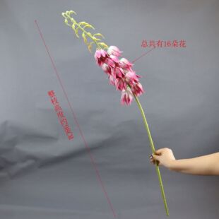 �羳��}��©���滨���ʽ�؃r���ϼٻ����ֹ��b����Qβ؛��̎��