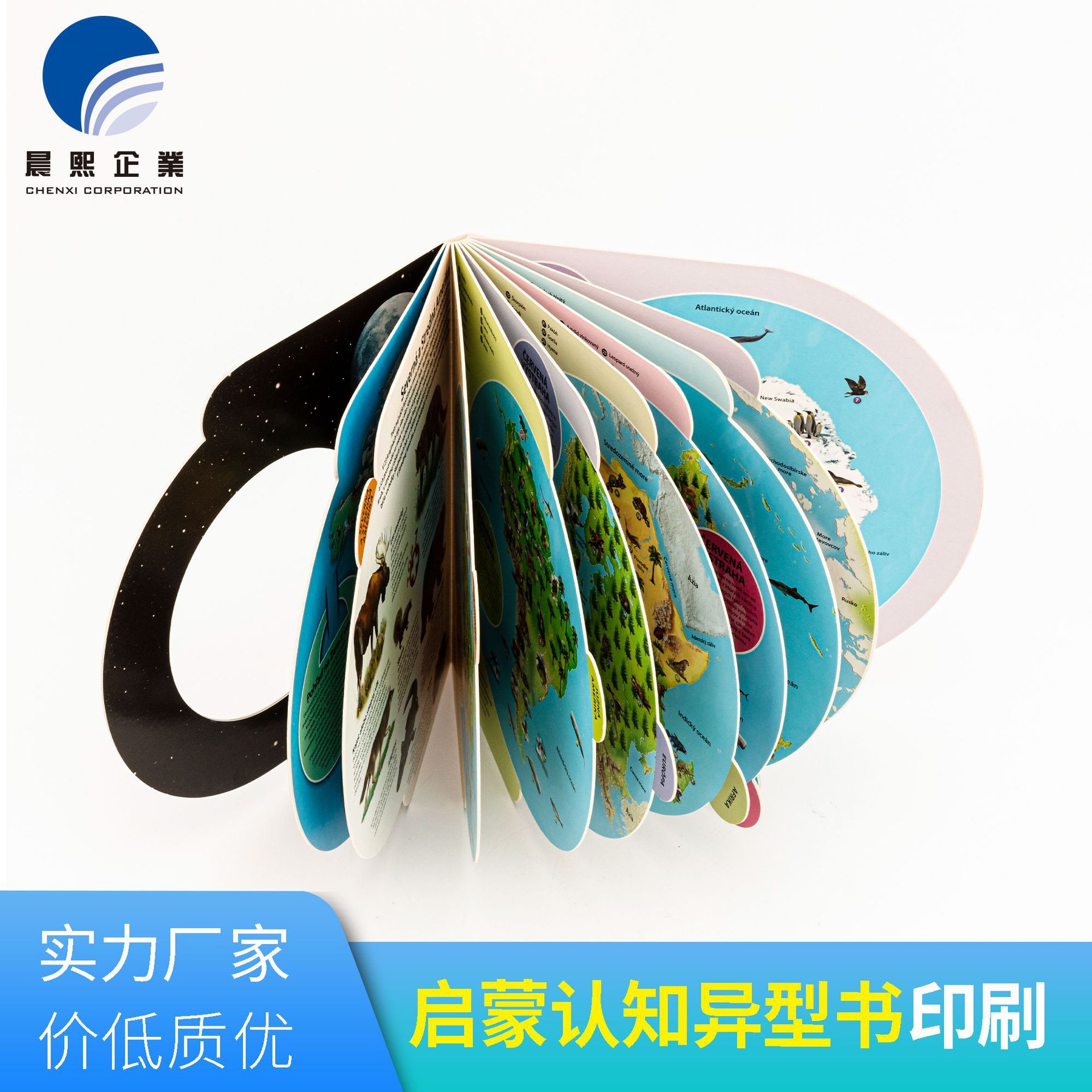 (4)启蒙认知异型书