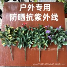 ����������Gֲ�����~�����b��俹UV�ϻ������⾀3�겻��ɫ