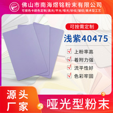 热固性塑粉 静电粉末涂料浅紫哑光喷涂粉末 家具门窗环氧聚酯粉末