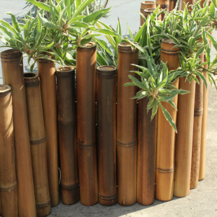 Anticorrosive Bamboo Fence Outdoor Japanese Garden Courtyard Low Fence Vegetable Garden Flower Bed Balcony Carbonized Bamboo Partition