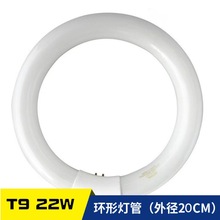 T9 22W环型灯管 圆形吸顶灯灯管 四针白光 家用