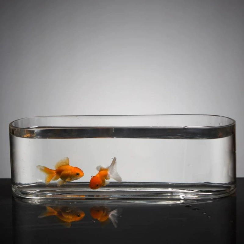 Стеклянный аквариум для маленькой гостиной, креативный настольный экологический аквариум для интернет-знаменитостей, прямоугольный мини-аквариум для рабочего стола