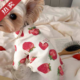 春夏秋季猫咪小狗狗家居服莓印花宠物衣服小型犬约克夏透气可爱
