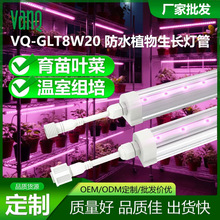 T8��ˮֲ������҃����w�Ӽ�����M������ݮ�Nֲ���L���ß�