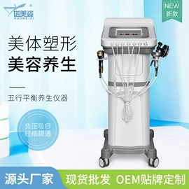 电子美容仪;其他美体瘦身;其他美容仪器