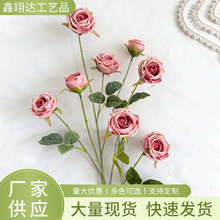 �¿�8�^�S��õ������õ�ᭇĵ����c�Y�ò����bҾӔ[�����滨