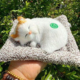 动物工艺品;皮毛工艺品;其他工艺品