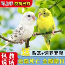 ��Ƥ�W�^�B�H�˸��������B�������r�ɷ�ֳ�µ�������