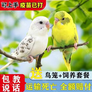 ��Ƥ�W�^�B�H�˸��������B�������r�ɷ�ֳ�µ�������